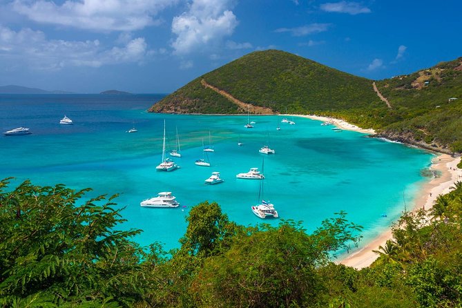 Experience the British Virgin Islands Through and Unforgettable Tour - Comfortable Transportation Details