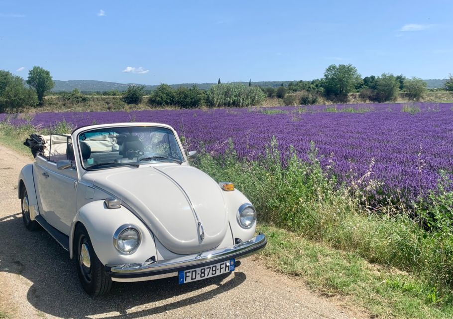 Explore Provence in a Beetle! - Rental Pricing and Offers