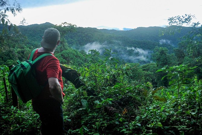 Extreme Nature Hike Fortuna to Monteverde - Traveler Experiences