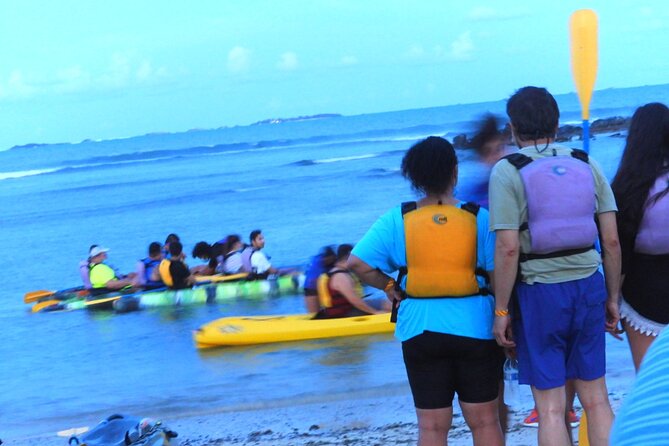 Fajardo Bioluminescent Bay Night Kayak Adventure From San Juan - Participant Feedback and Reviews