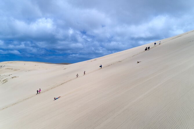 Far North New Zealand Tour Including 90 Mile Beach and Cape Reinga From Paihia - Inclusions and Amenities