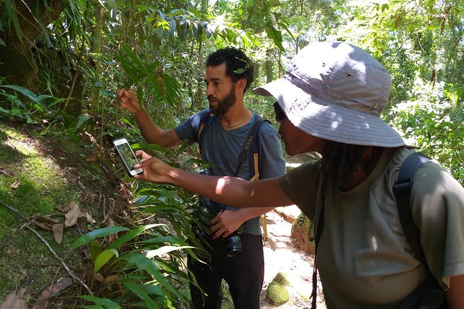 Forest Forager - Wild Food Walk - Health and Safety Considerations