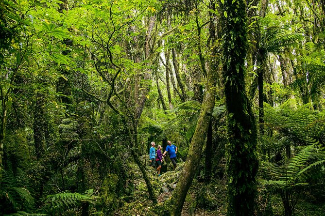 Fox Glacier Nature Tour - Guides and Tour Highlights