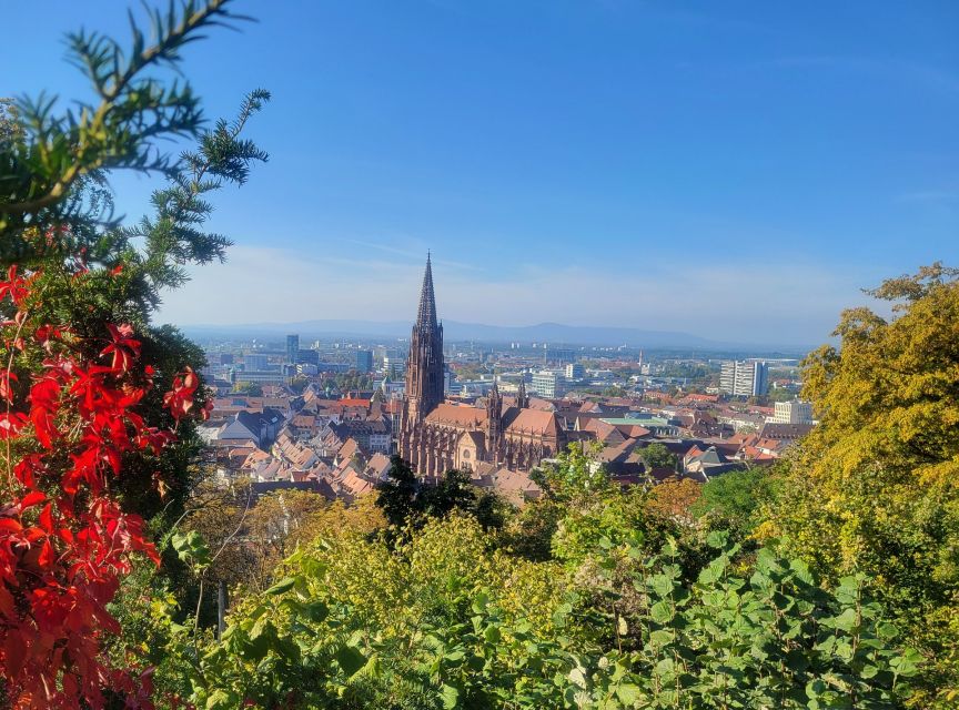 Freiburg - Historic Walking Tour - Significant Historical Landmarks