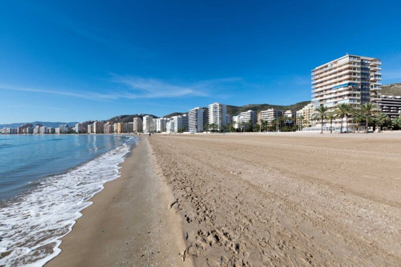 From Alicante: Cullera Old Town and Albufera Natural Park - Booking Information