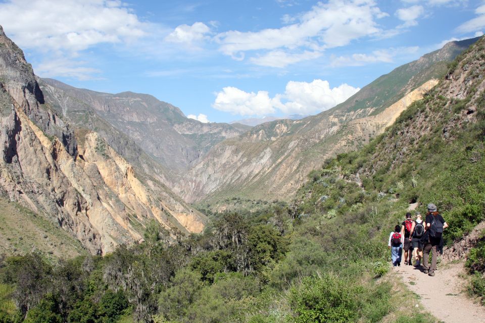 From Arequipa: 2-Day Colca Canyon Tour With Transfer to Puno - Exploring Day 2 Activities