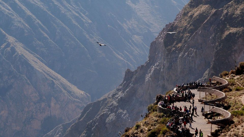 From Arequipa: Colca Canyon All Include |Full Day| - Itinerary Highlights