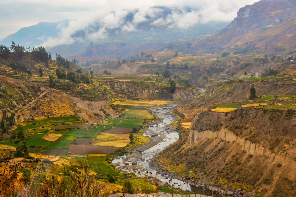 From Arequipa: Colca Canyon Two-Day Tour - Day 2 Highlights