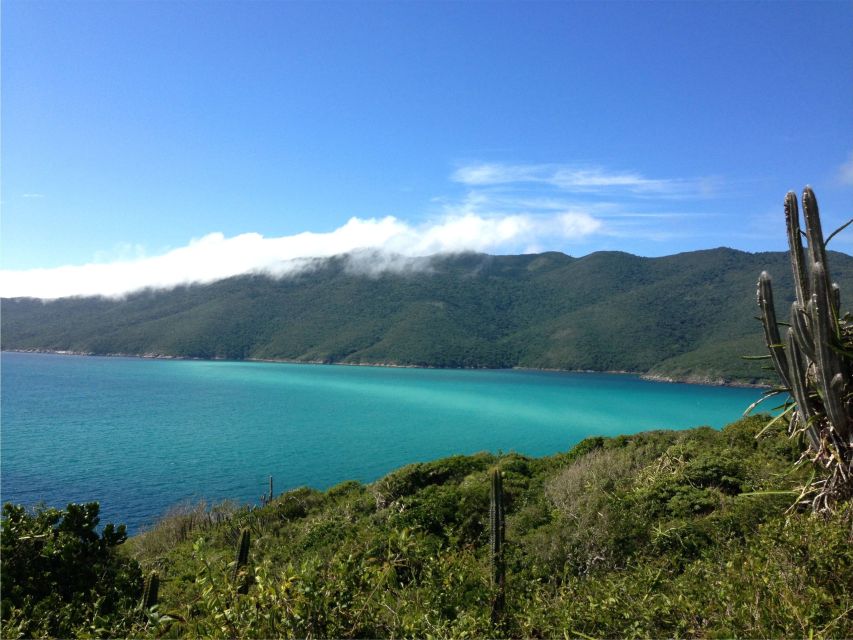 From Búzios: Arraial Do Cabo and Cabo Frio Day Trip - Culinary Delights