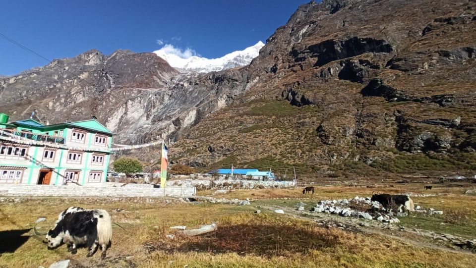 From Kathmandu: 12 Day Langtang Gosaikunda Trek - Tips for Trekking