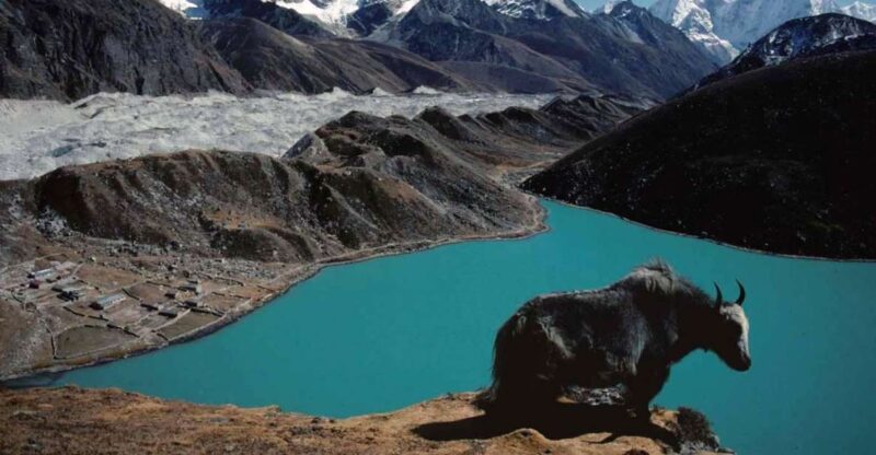 From Kathmandu : 12 Days Gokyo Lakes Trek - Pricing and Booking Options