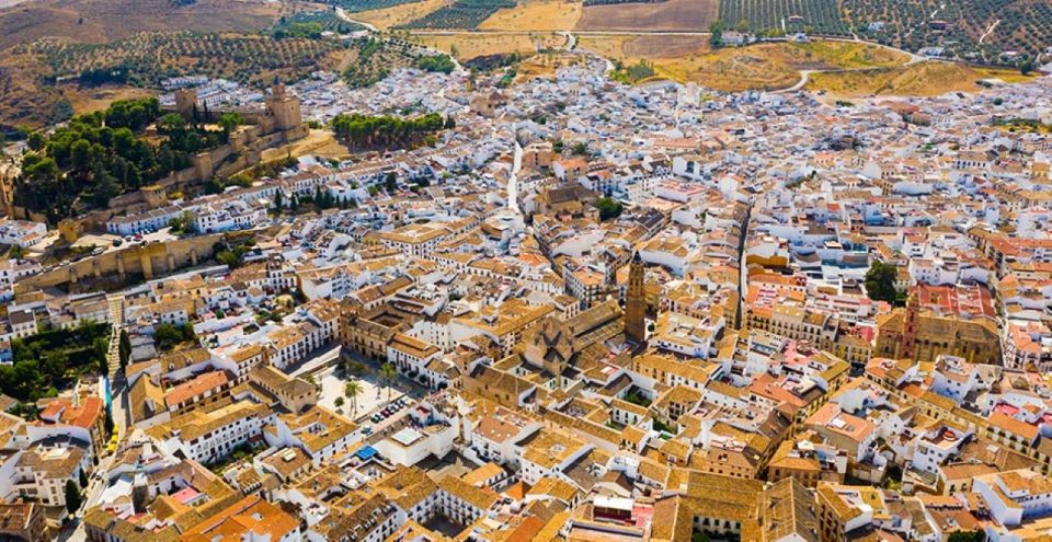 From Marbella: Antequera Wine Tour With Tastings and Lunch - Winery Visits and Tastings