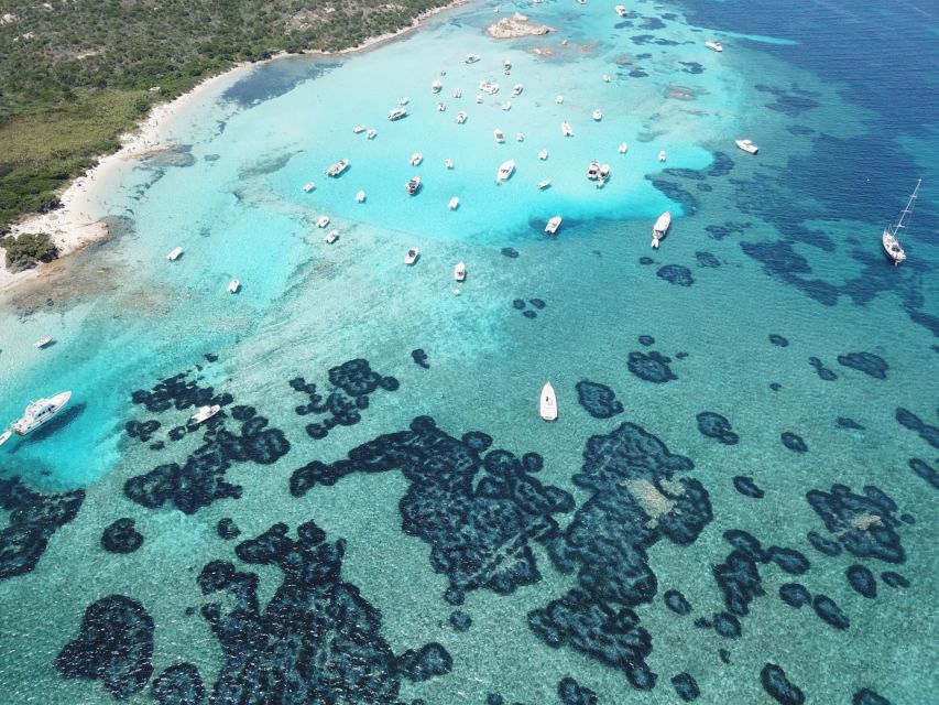 From Palau: La Maddalena Islands Half-Day Rubber Boat Tour - Important Information