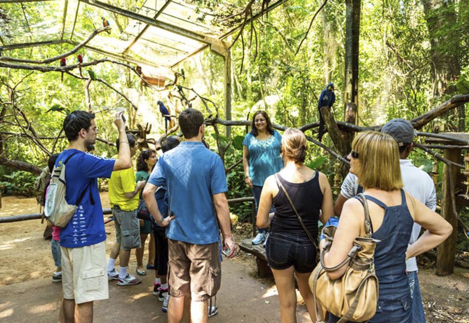 From Puerto Iguazú: Brazilian Bird Park Tour With Tickets - Experience the Bird Park