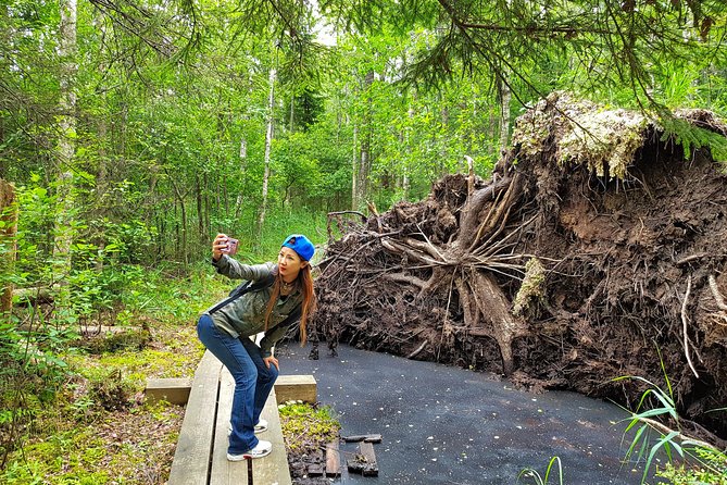 From Riga: Best of Kemeri National Park In One Day - Lake Kanieris and Sandy Beaches