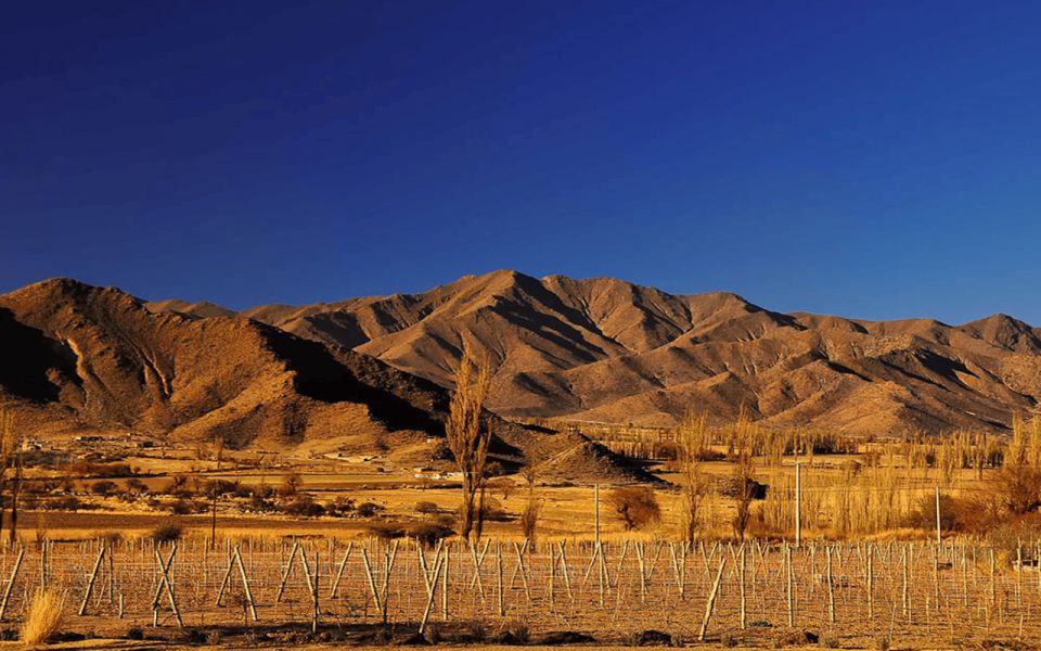 From Salta: Cachi and Los Cardones National Park Tour - Experience and Activities