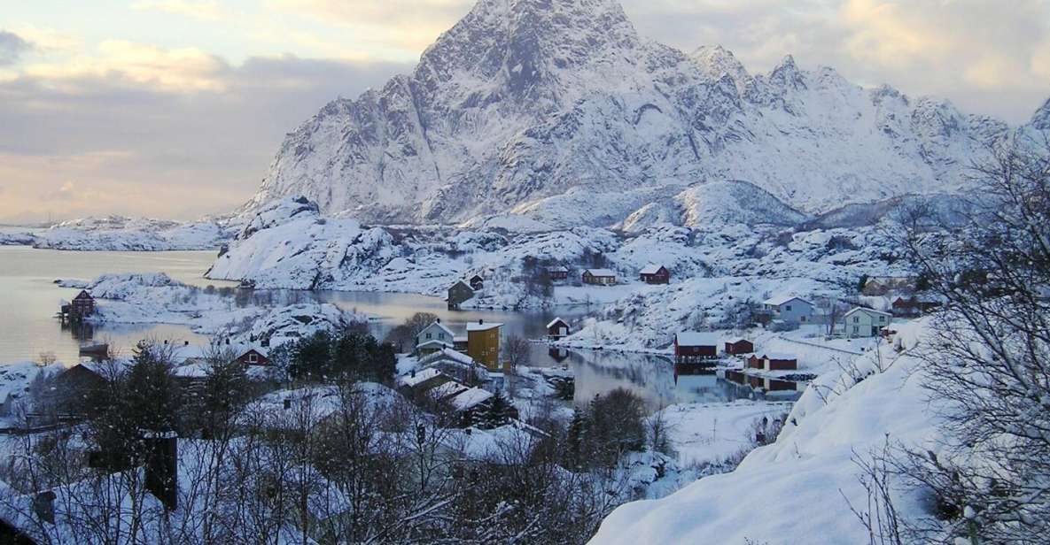 From Svolvaer: Lofoten Islands Tour With Photographer Guide - Tour Highlights and Experience