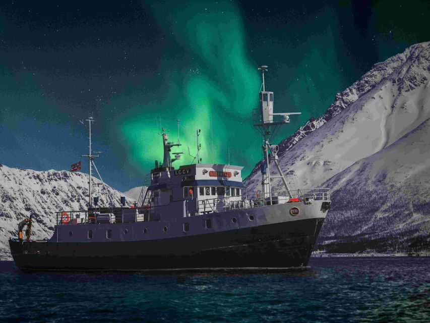 From Tromsø: Northern Lights Cruise on a Cozy Vintage Vessel - Onboard Amenities