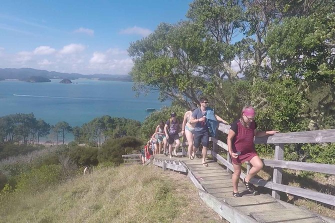 Full-Day Adventure Cruise With Lunch in Bay of Islands - Meeting and Departure Details