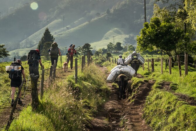 Full Day Climbing the Cocora Valley With Lunch - Health and Safety Considerations