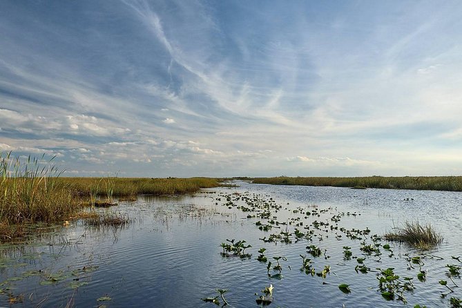 Full Day Everglades: Biologist Led WET Walk + 2 Boat Trips + Lunch Small Group - Transportation and Pickup Details