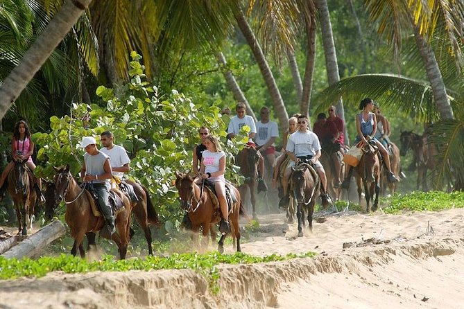 Full Day Excursion to Samaná From Punta Cana - Important Accessibility Information
