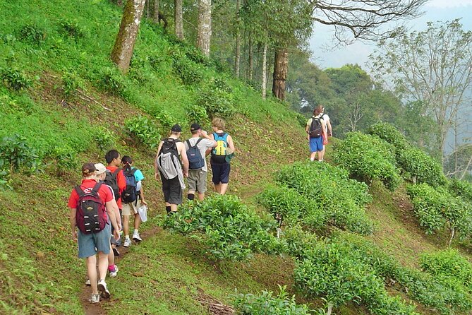 Full-Day Hike and Bike Tour From Chiang Mai - Whats Included in the Package