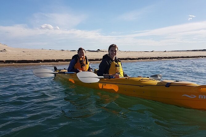 Full Day Kayaking Tour in Coorong National Park - Activities and Experiences