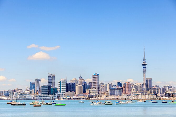 Full Day Private Shore Tour in Auckland From Bay of Islands Port - Experience Auckland