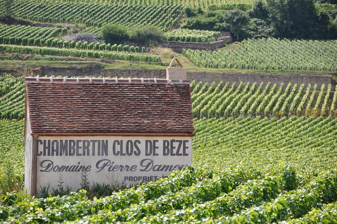 Full-Day Private Tour, 6 Premiers & Grands Crus, The Best of Burgundy - Lunch at a Wine Estate