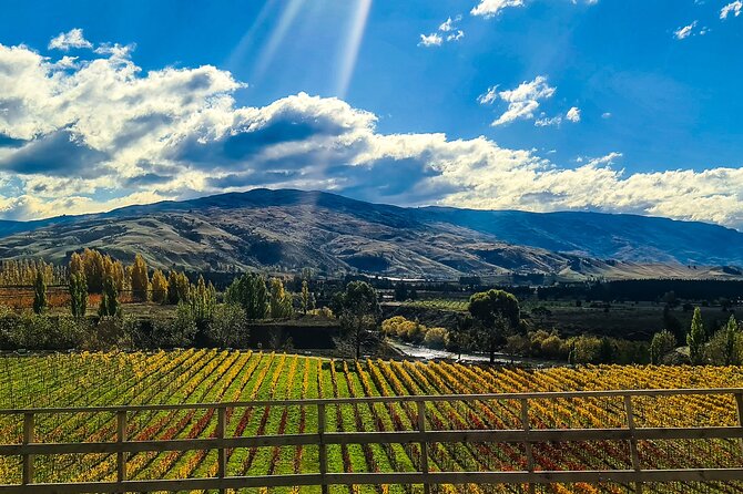 Full-Day Sommelier Guided Private Wine Tour of Central Otago - Accessibility Features