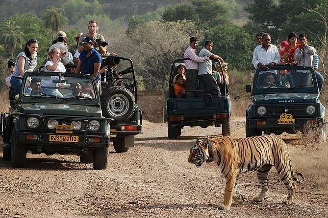 Full-Day Trip to Ranthambore National Park From Jaipur - Tour Inclusions