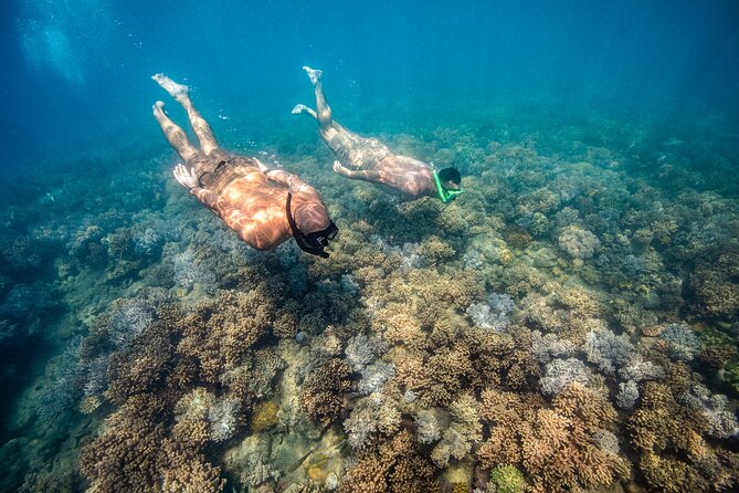 Full-Day Whitsunday Sail and Snorkel Adventure With Lunch - Accessibility Information