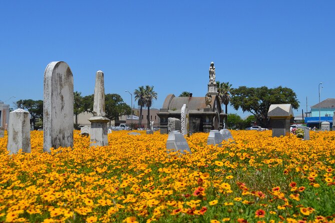 Galvestons Haunted Cemetery Walking Tour - Experience and Reviews