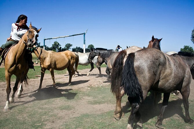 Gaucho Day Tour Don Silvano Estancia From Buenos Aires - Accessibility Information