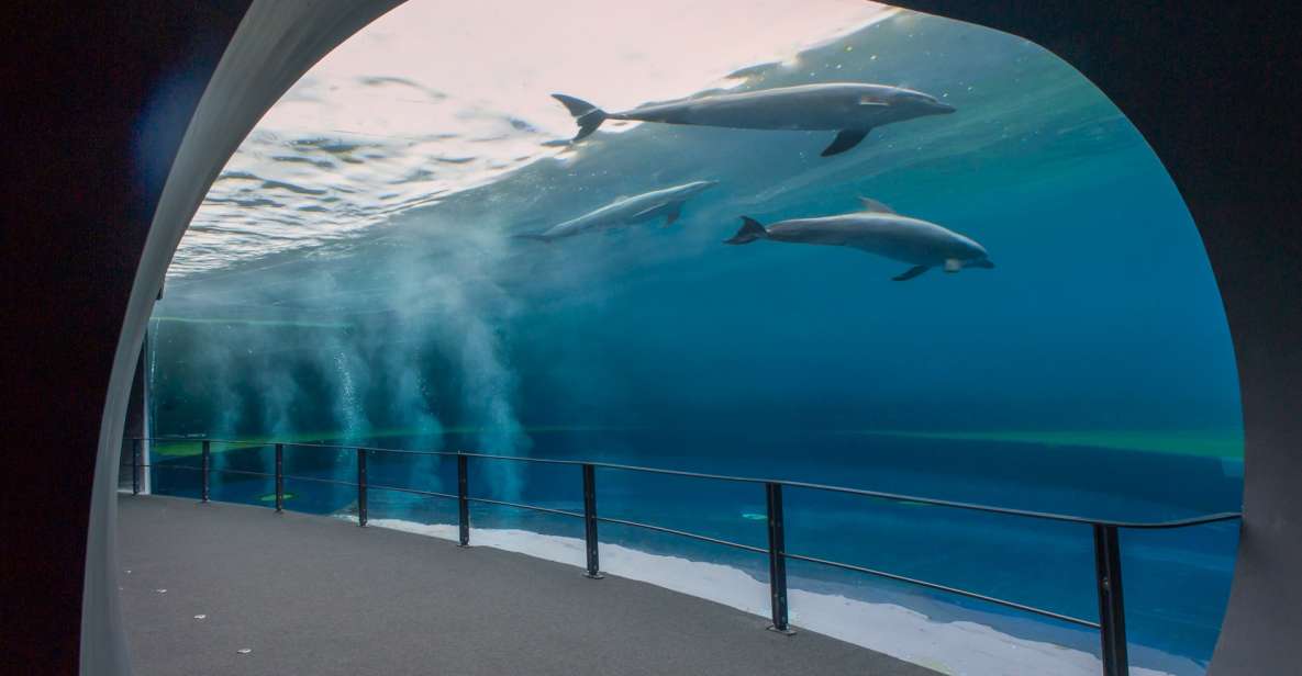 Genoa: Aquarium and FantaCinema Combined Ticket - Experience Highlights