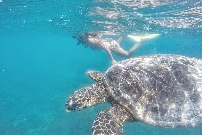 Gili Trawangan,Gili Meno& Gili Air Island:Snorkeling Day Trip Depart From Lombok - Booking Information