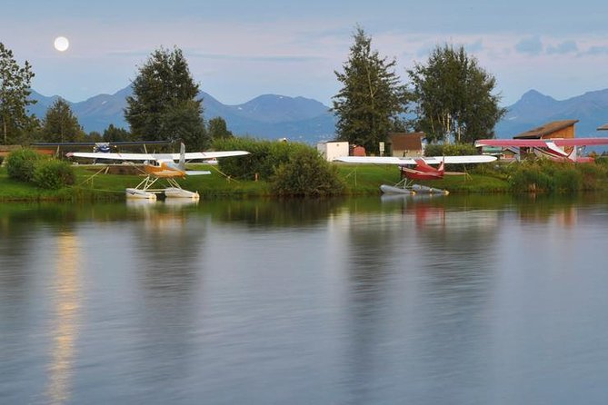 Glacier & Wildlife Discovery Tour - Guide Expertise and Accessibility