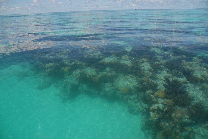 Glass Bottom Boat and Snorkeling Combo in Bermuda - Reviews and Guest Experiences