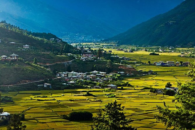 Glimpses of Bhutan - 4 Days Tour - Meeting and Pickup Details