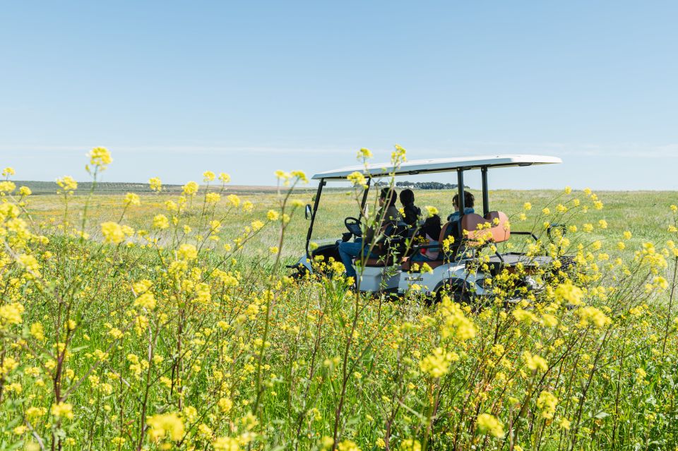 Golf Cart Tour and Aperitif in the Ancient Masseria - Cancellation and Flexibility