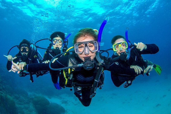 Great Barrier Reef Diving and Snorkeling Cruise From Cairns - Meeting and Departure