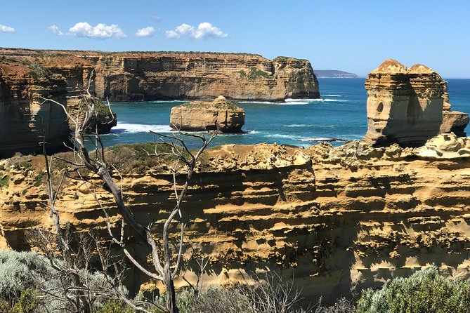 Great Ocean Road Reverse Itinerary Boutique Small Group Tour - Traveler Experiences and Reviews