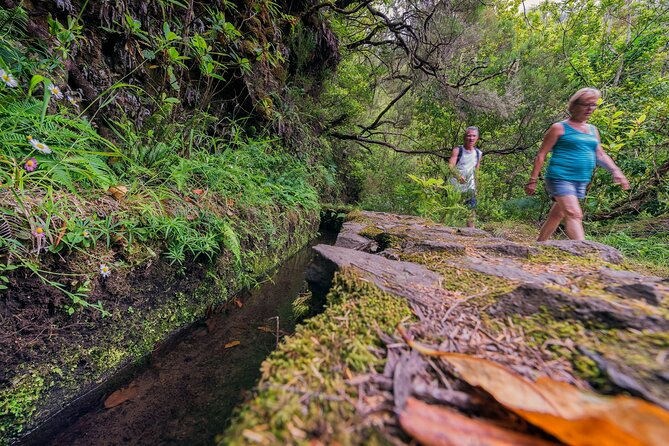 Green Cauldron Levadas Walk in Madeira - Negative Feedback