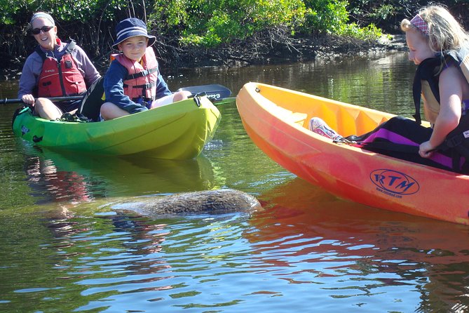 Guided Kayak Eco Tour - Bunche Beach - Tour Highlights and Features