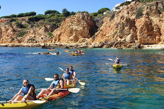 Guided Kayak Tour: Exploring Benagil Caves - Experience Highlights