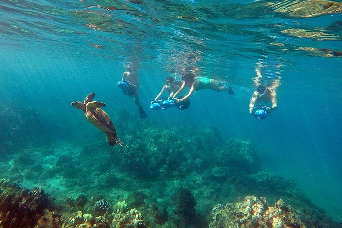 Guided Sea Scooter Snorkeling Tour Wailea Beach - Meeting Information