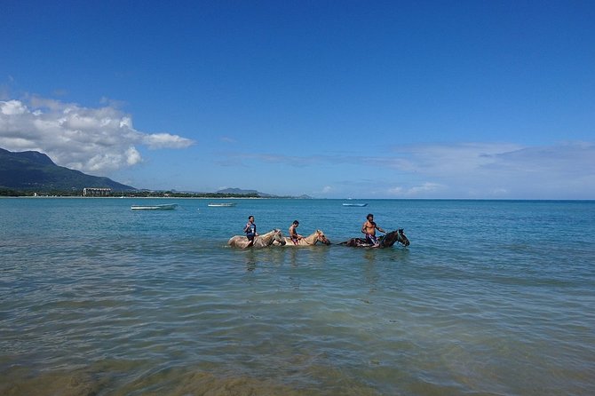 Half-Day Beach Horse Back Riding in Puerto Plata - Accessibility Information