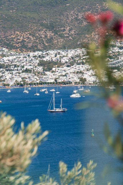 Half Day Bodrum (Halicarnasos) Tour by Car - Experience Highlights
