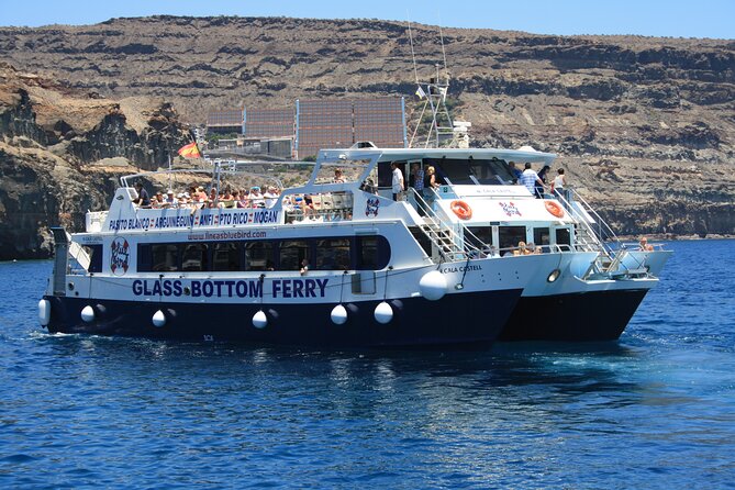 Half-Day Cruise Tour-Dolphin and Whale Watching - Included Amenities